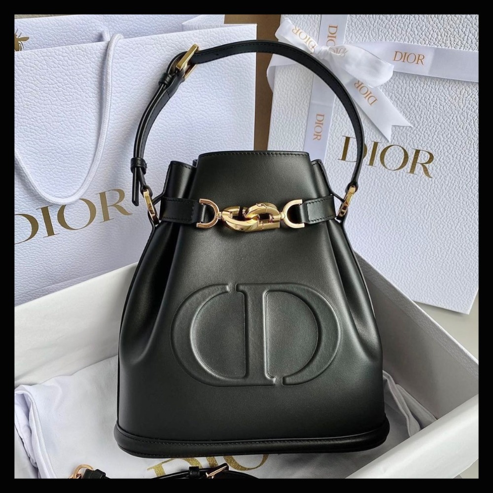 【2024】【大人気】DIOR ミディアム C'EST DIOR バッグ