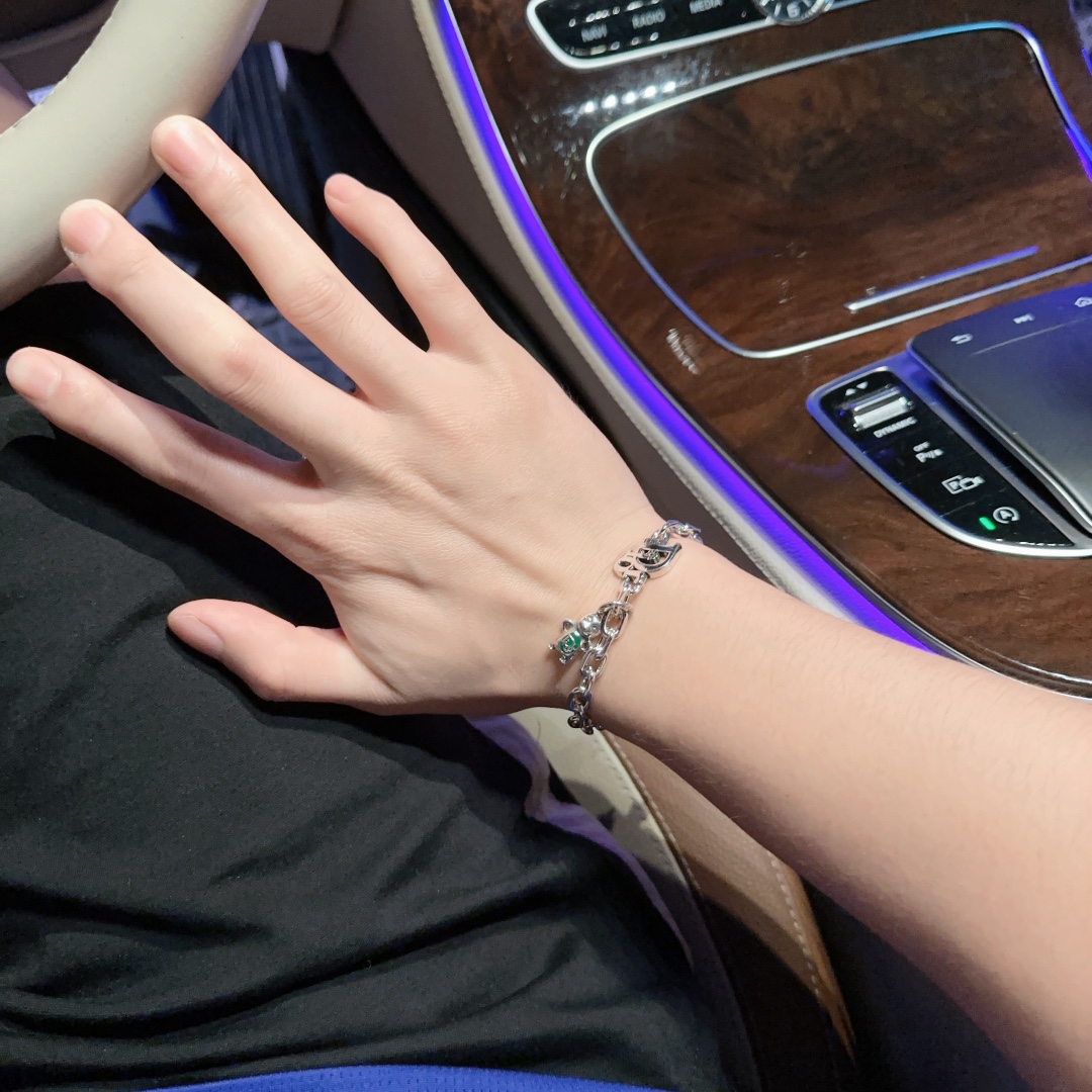 【DIOR】ブレスレット、ファッションシンプルなスタイル 240812