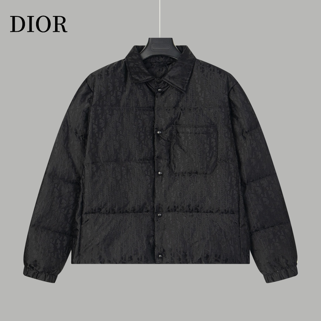 【DIOR  公式旗艦店】ディオール  ダウンジャケット ご好評に付き再入荷！ 241112