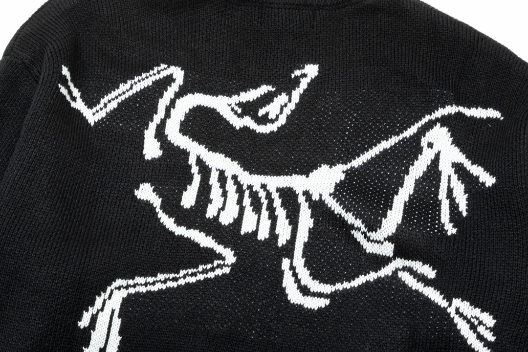 【ARCTERYX 公式旗艦店】アークテリクス  セーター好評に付き再入荷！ 241123