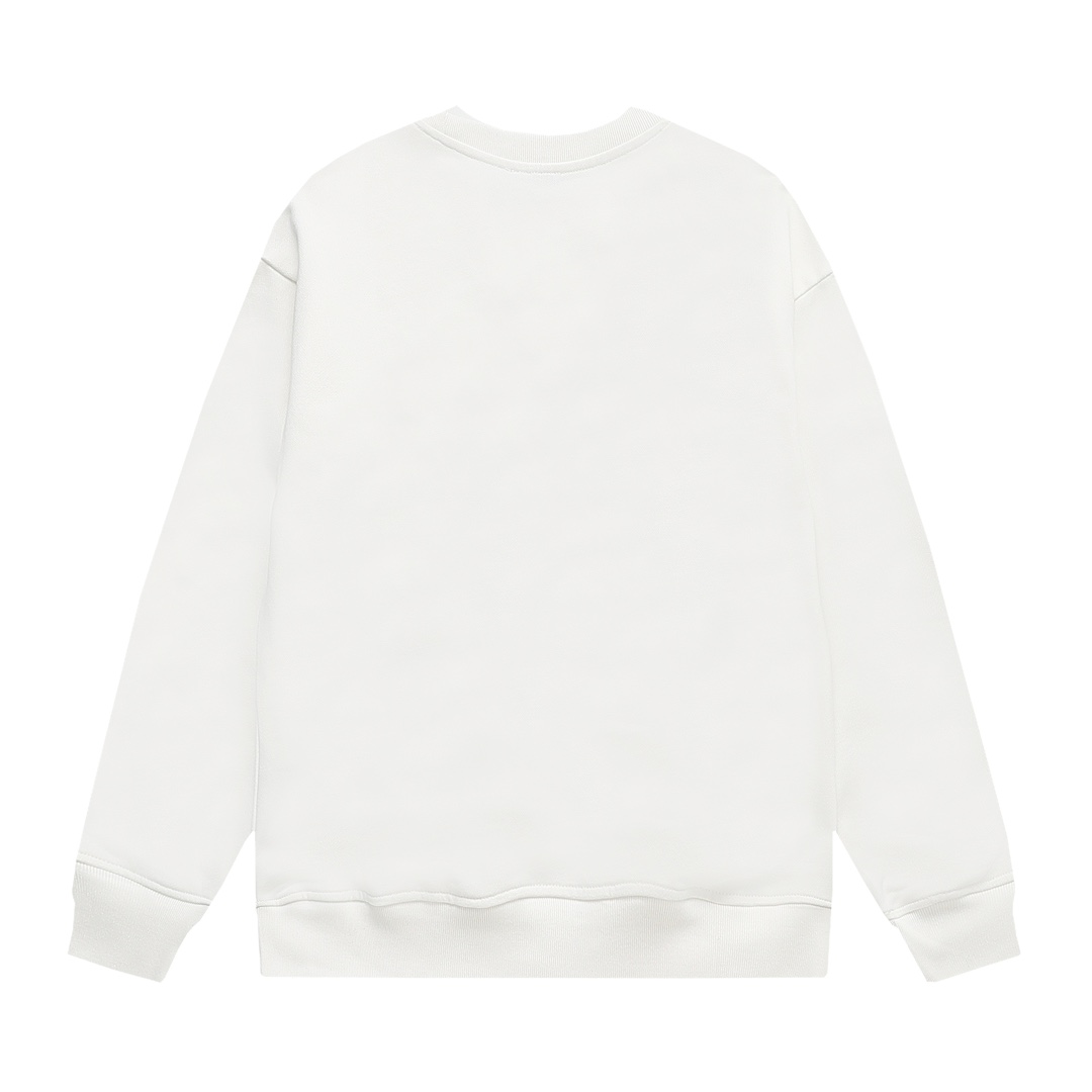 【DIOR  公式旗艦店】ディオール  丸首の衛衣 ご好評に付き再入荷 240817