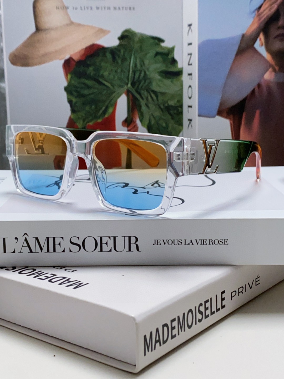 LOUIS VUITTON (  ルイヴィトン ) サングラス 241012