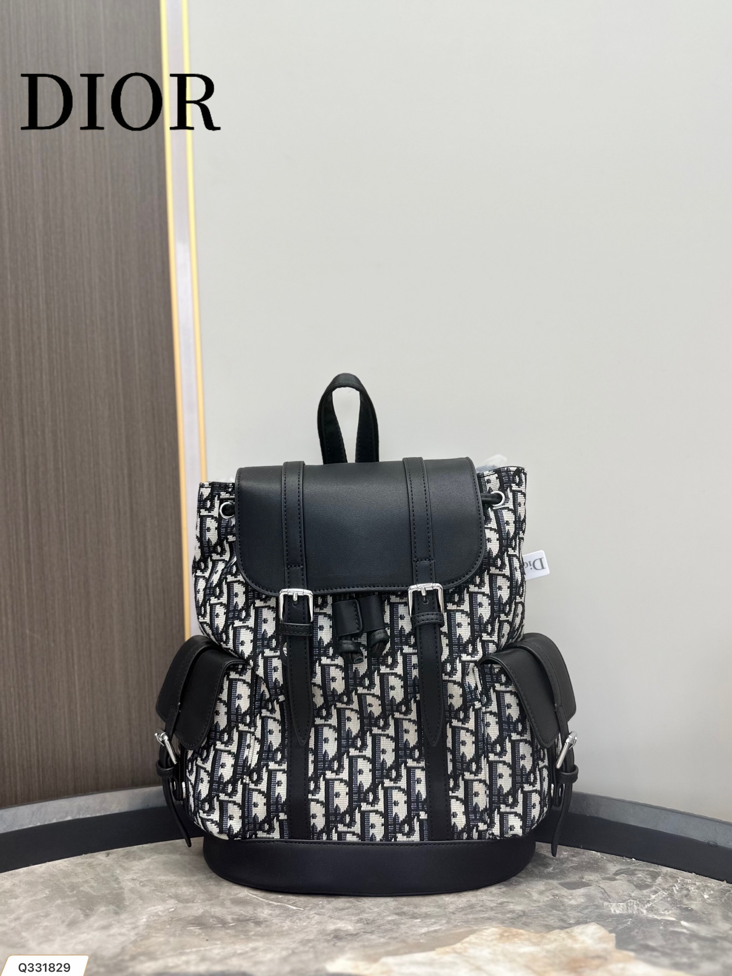 【DIOR  公式 旗艦店】ディオール  リュックサック   当日出荷 好評に付き再入荷！24*28CM
