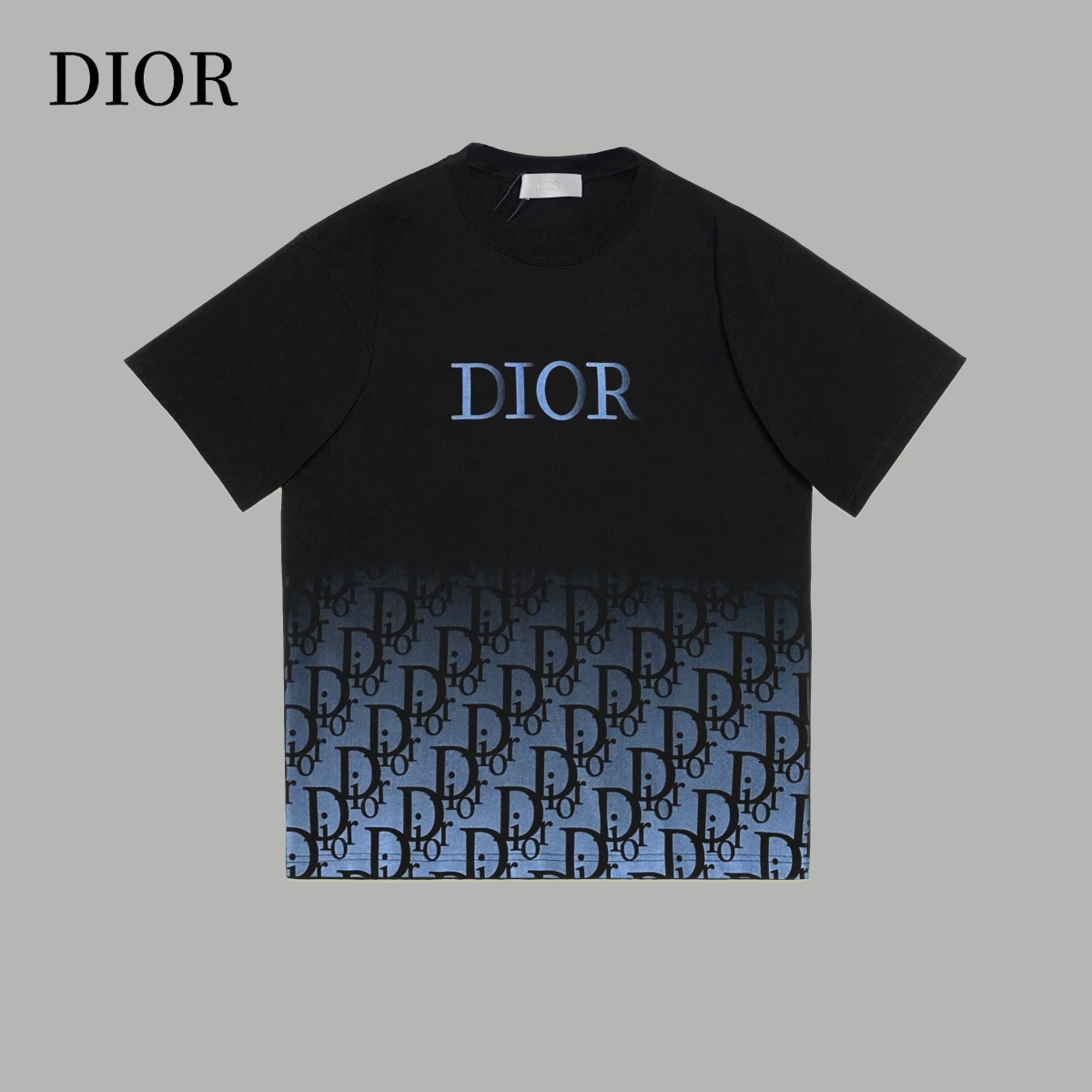【DIOR 公式旗艦店】ディオール   Tシャツ ご好評に付き再入荷 240718