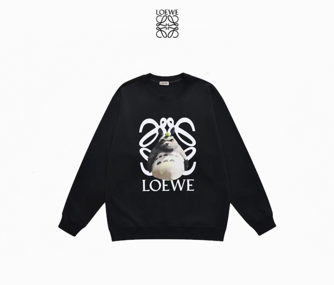 【LOEWE 公式旗艦店】ロエベ  丸首の衛衣  スウェットご好評に付き再入荷 240817