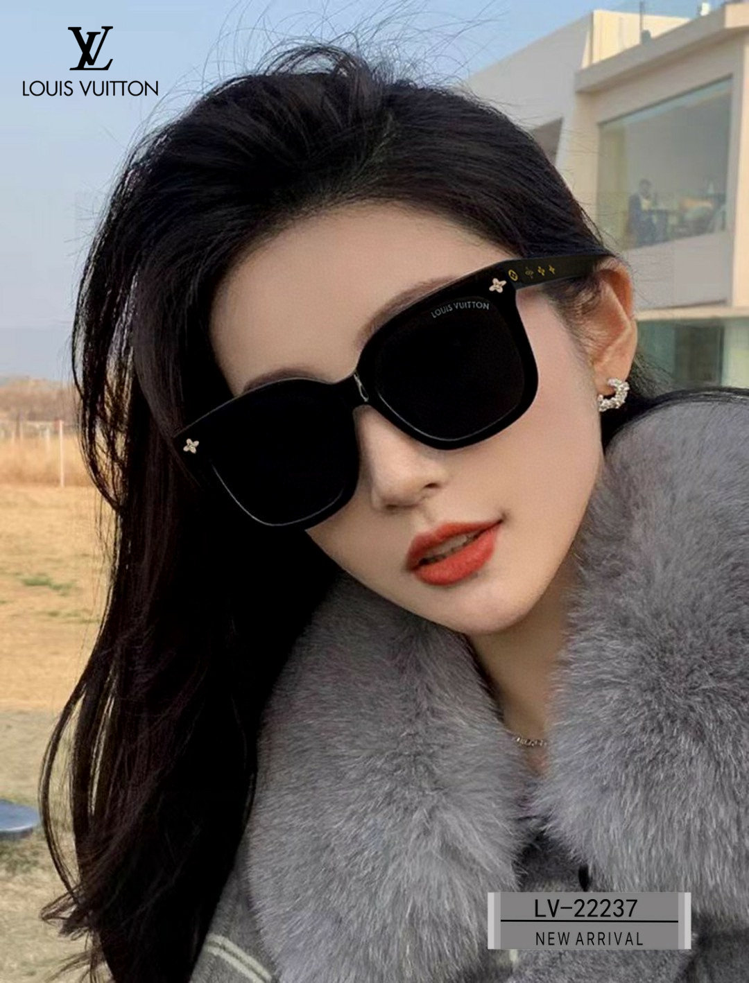 LOUIS VUITTON (  ルイヴィトン ) サングラス 241012