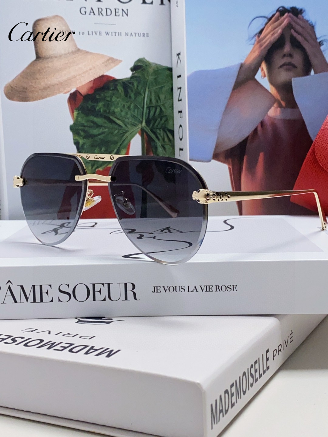 CARTIER(カルティエ) サングラス  241014