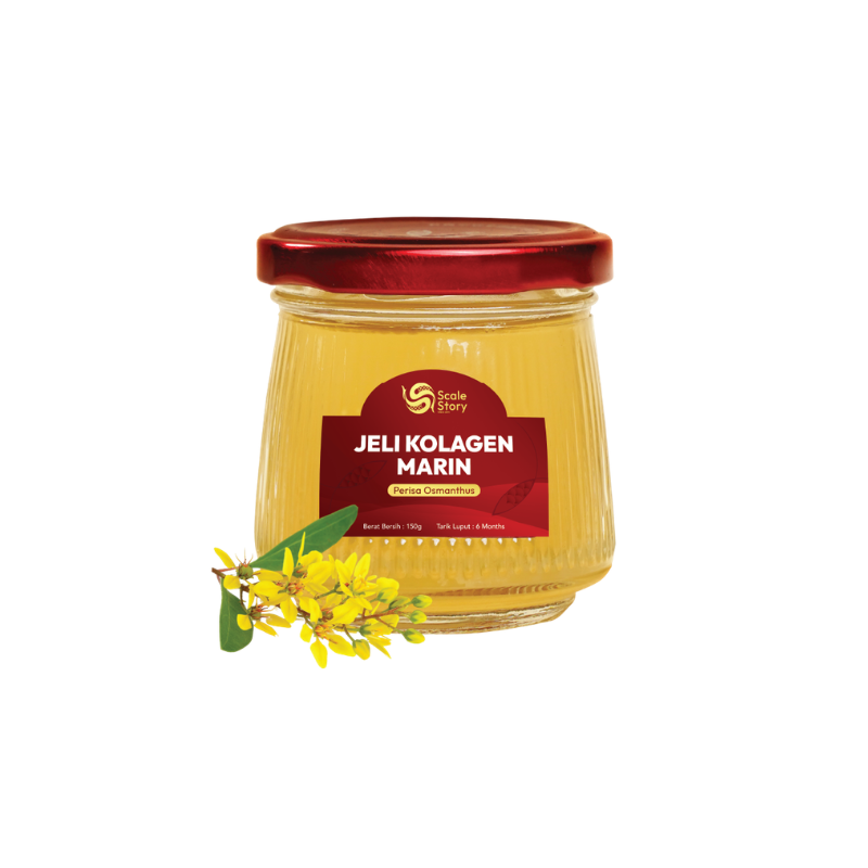 鳞记 鱼鳞冻系列