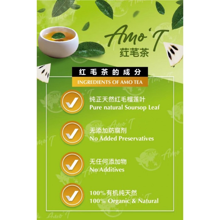 AMO T 葒芼茶 