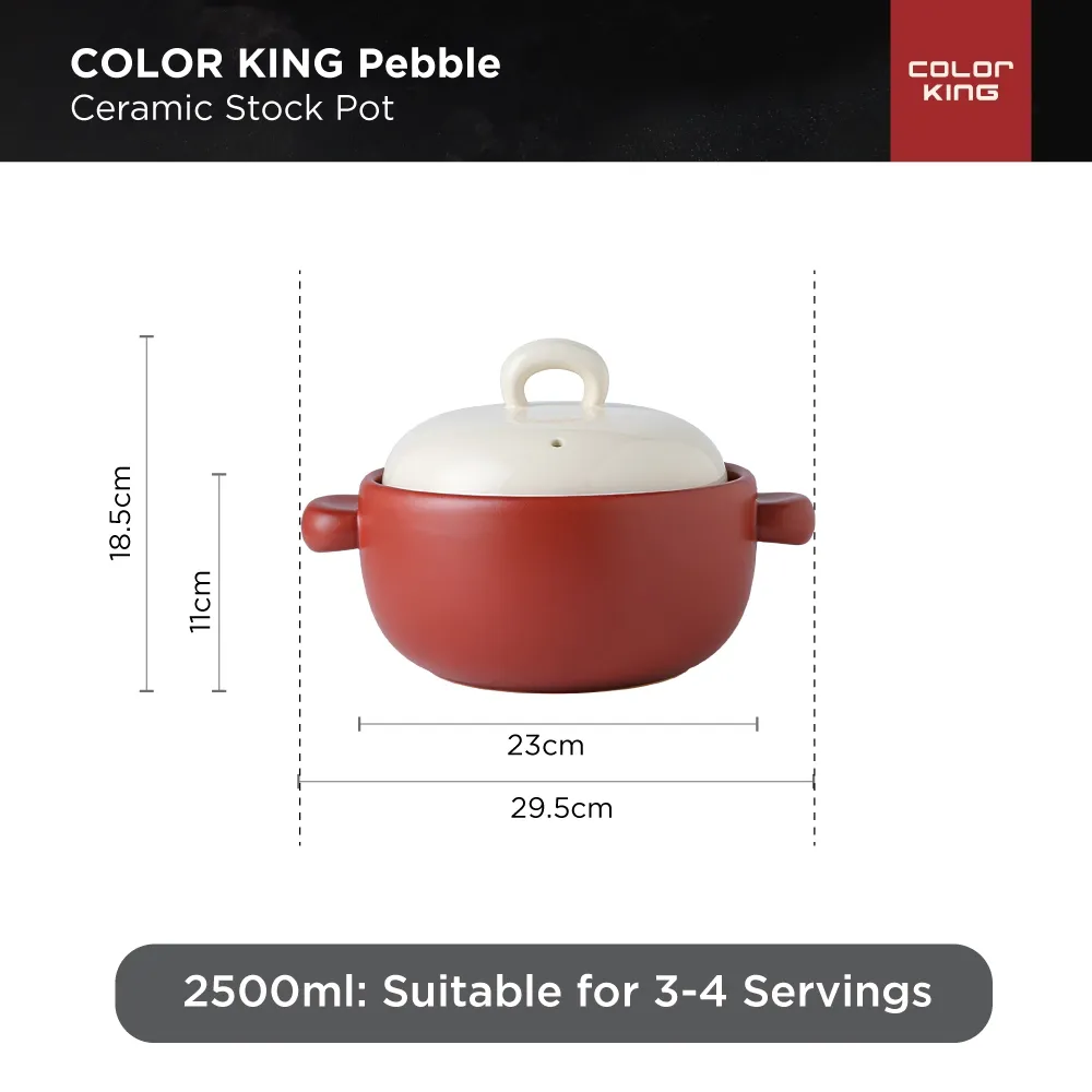 COLOR KING PEBBLE STOCK POT  