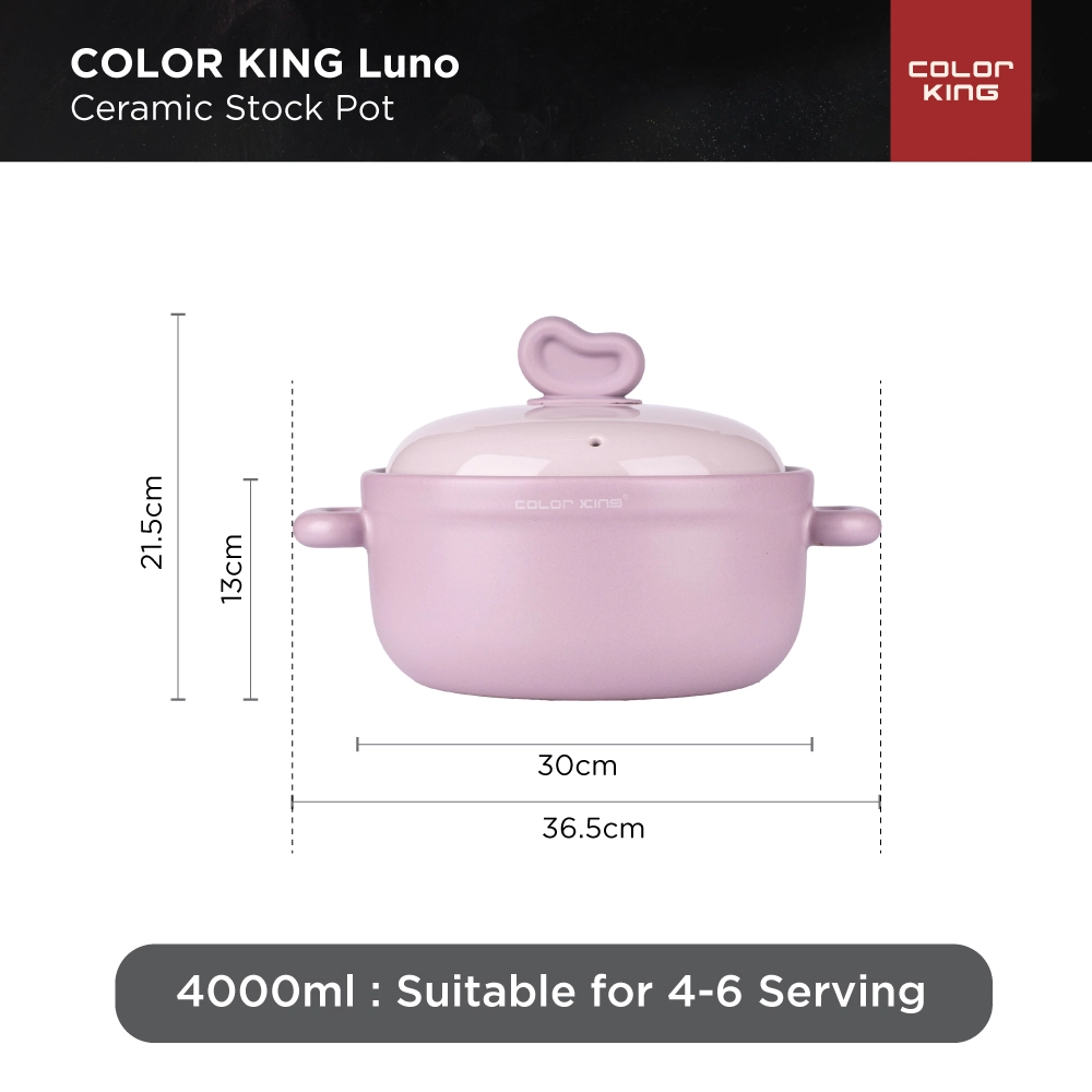 COLOR KING LUNO STOCK POT 
