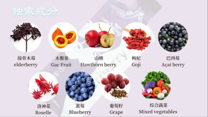 SANUSPRING ELDERBERRY+ X10