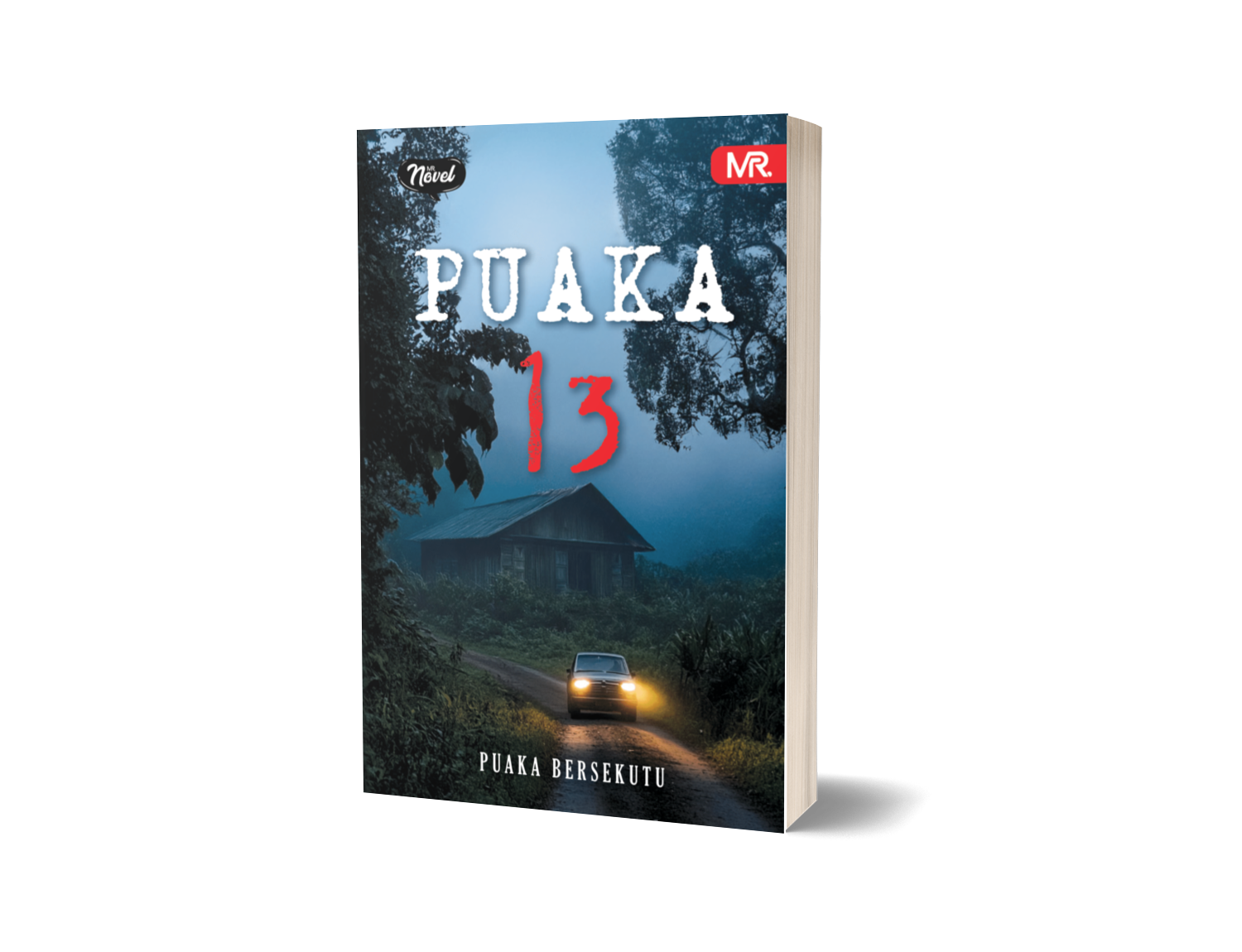 Puaka 13