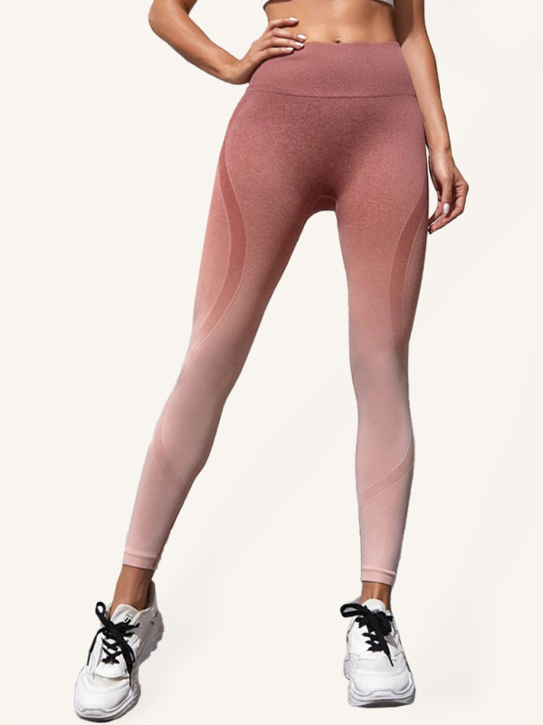 Gwendolynn Gradient Color Seamless Sports Yoga Pants