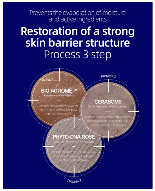 OGANACELL BIO ACTIOME VITA TONING HYDROGEL MASK (30G*5-SHEET PER BOX)