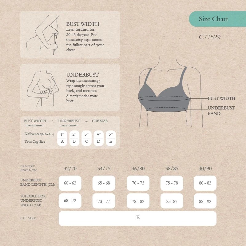 Stella Fashion  Cotton A-Cup Thin Cotton Middle-Aged And Elderly Non-Steel Ring Bra Cotton Breathable Girl Developmental Bra