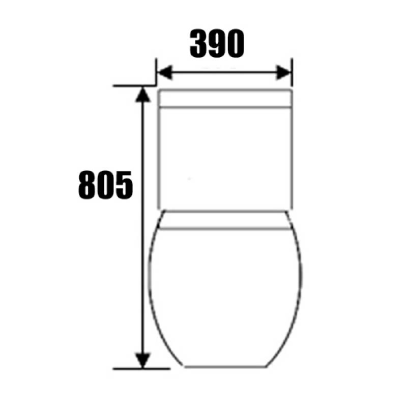 BARON Toilet Bowl W898 One-Piece Closet