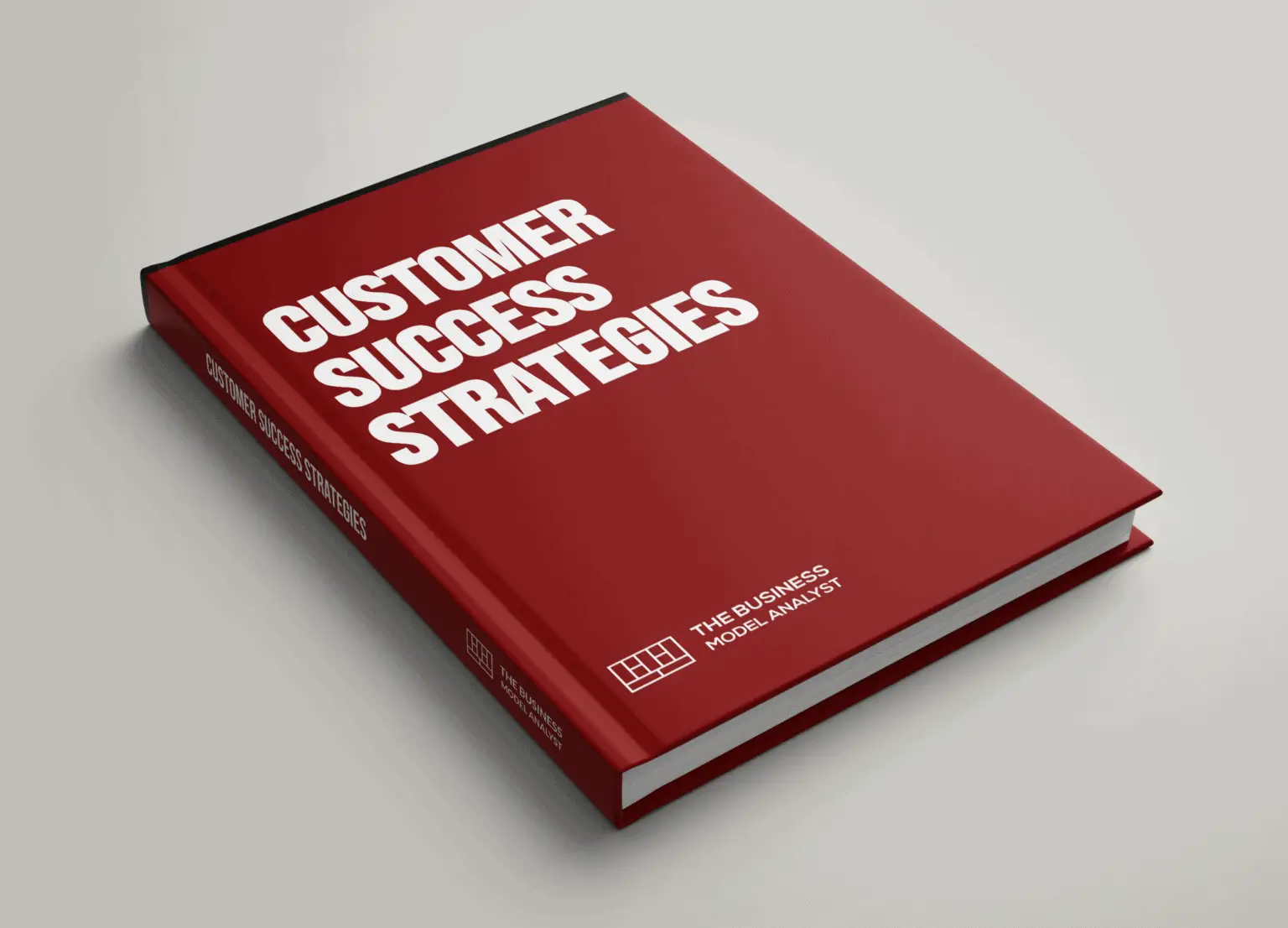 Customer Success Strategies eBook Guide