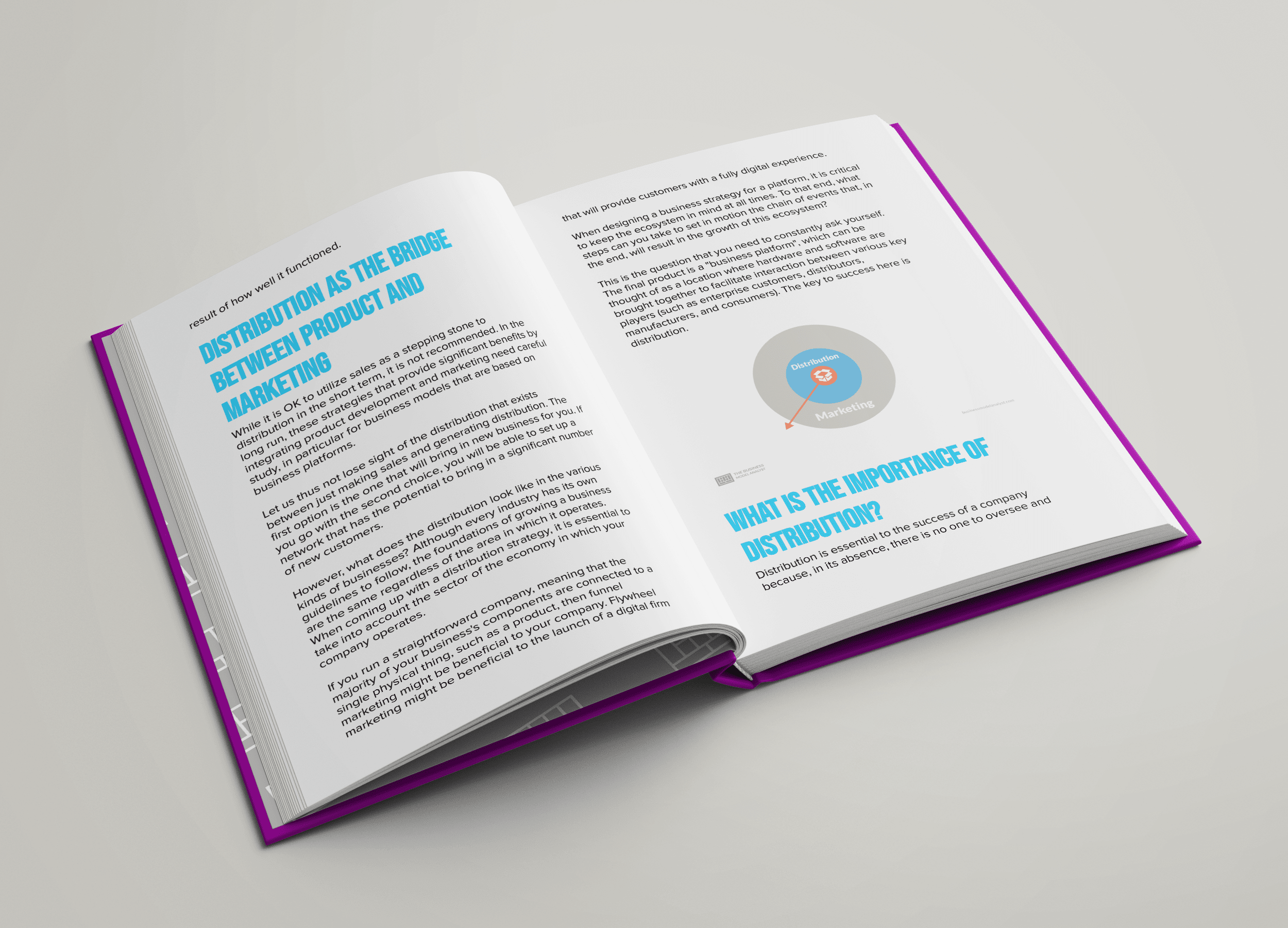 Distribution Strategies & Tactics Content