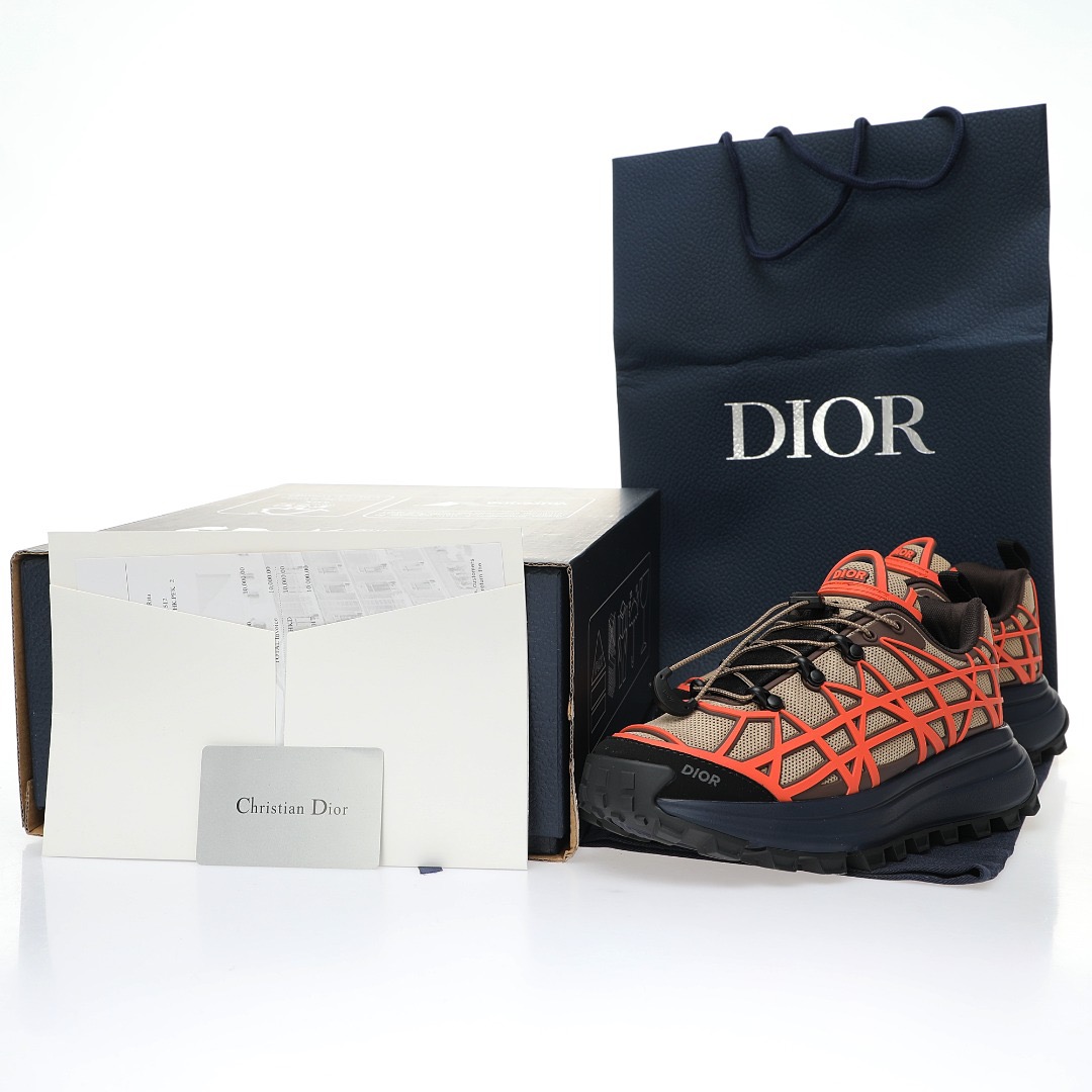 DIOR B31