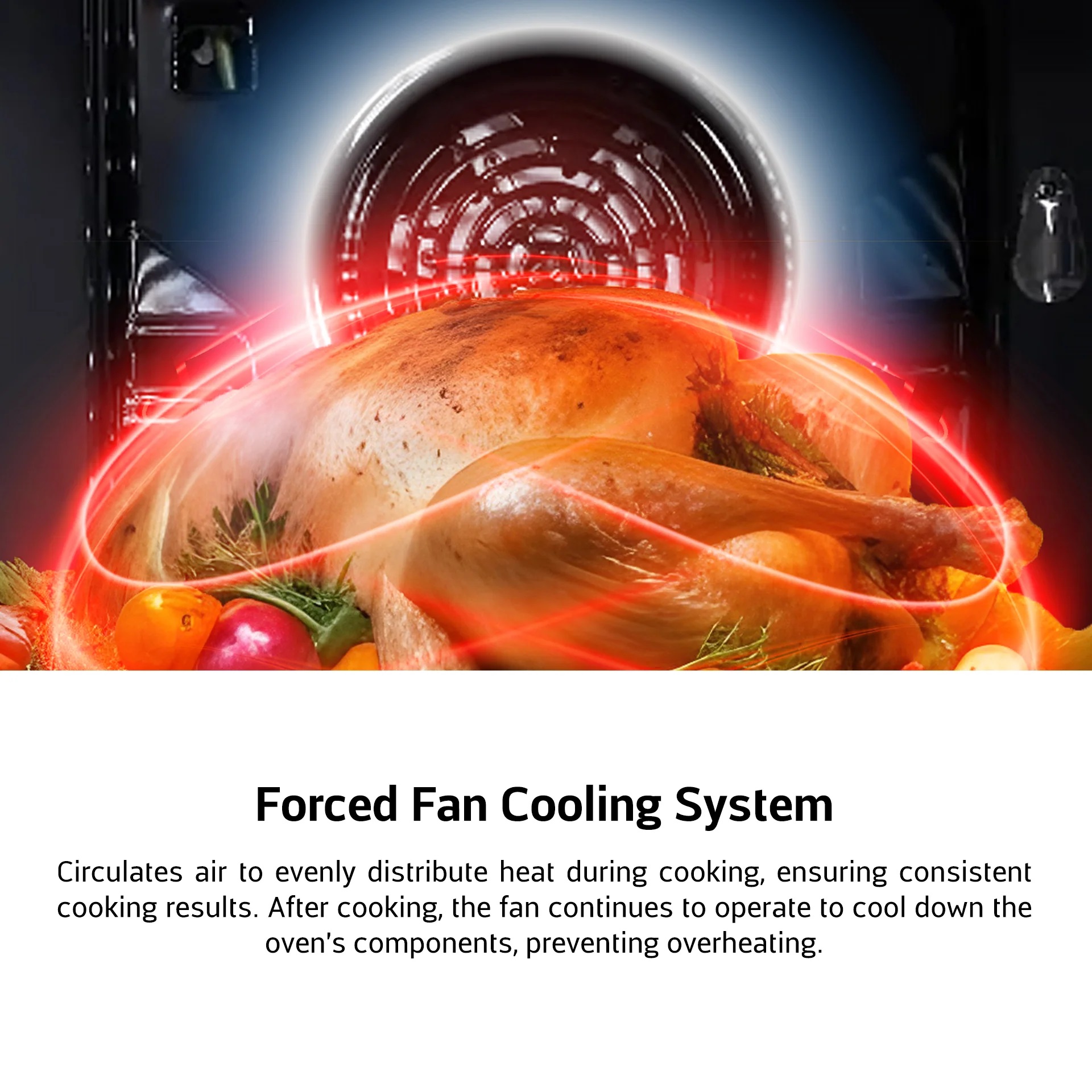 Ottimo 60cm 82L Built-In Oven (Mechanical Knob) EBO3821D