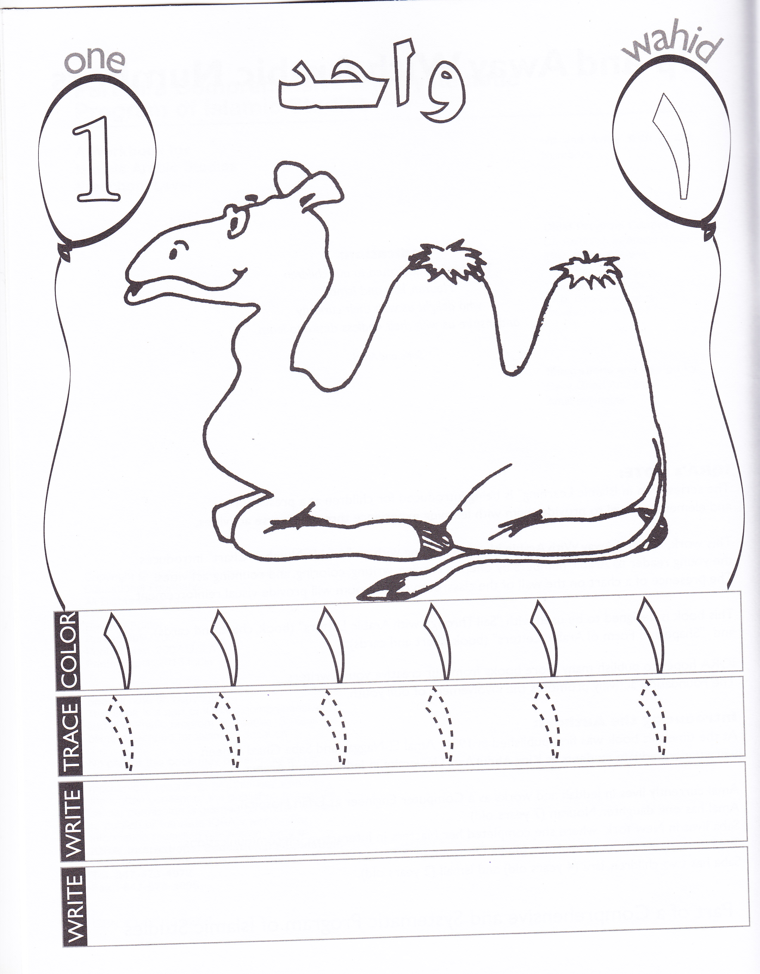 Up and Away With Arabic Numbers