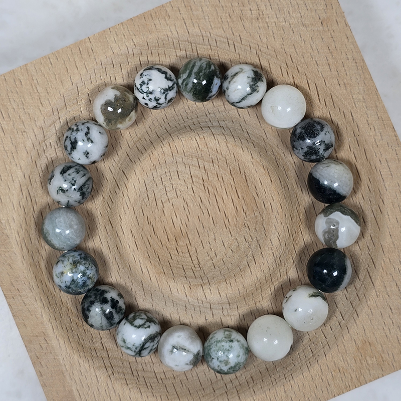 SG LOCAL - AURA HAVEN Tree Agate Bracelet [Made-to-order Product]