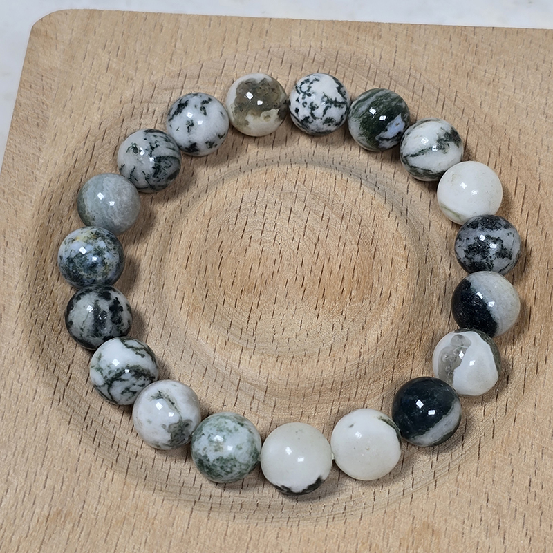 SG LOCAL - AURA HAVEN Tree Agate Bracelet [Made-to-order Product]