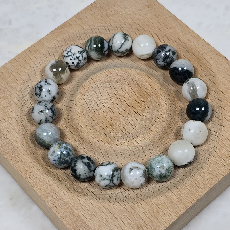 SG LOCAL - AURA HAVEN Tree Agate Bracelet [Made-to-order Product]