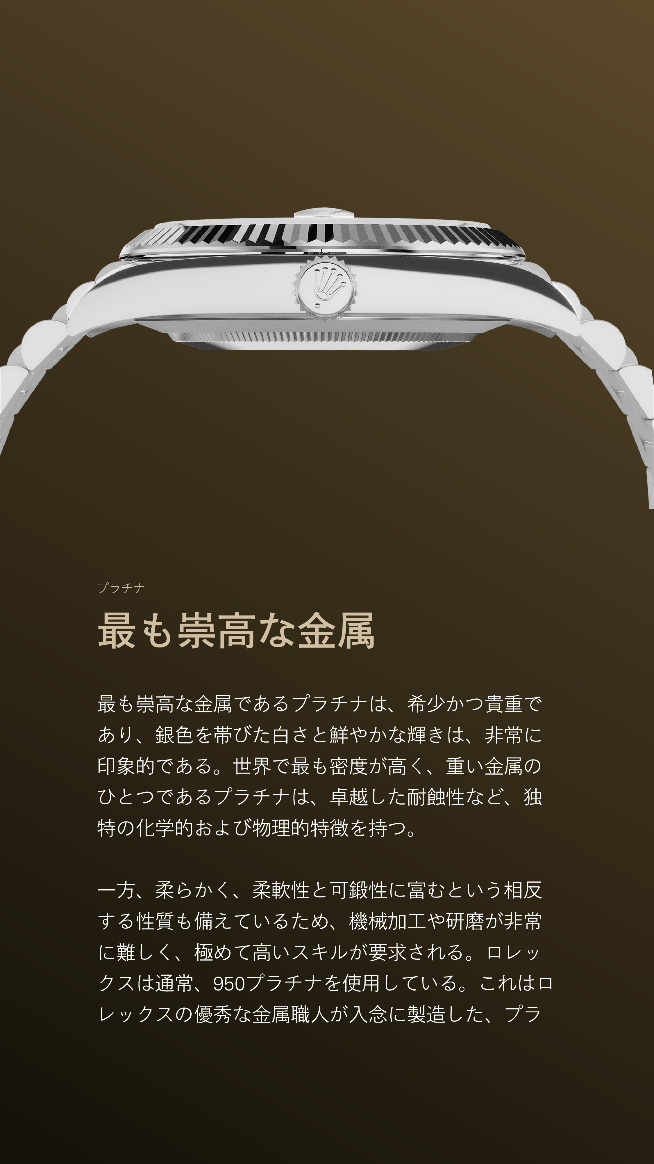 デイデイト 40｜オイスター 40mm｜リファレンス 228236-0003