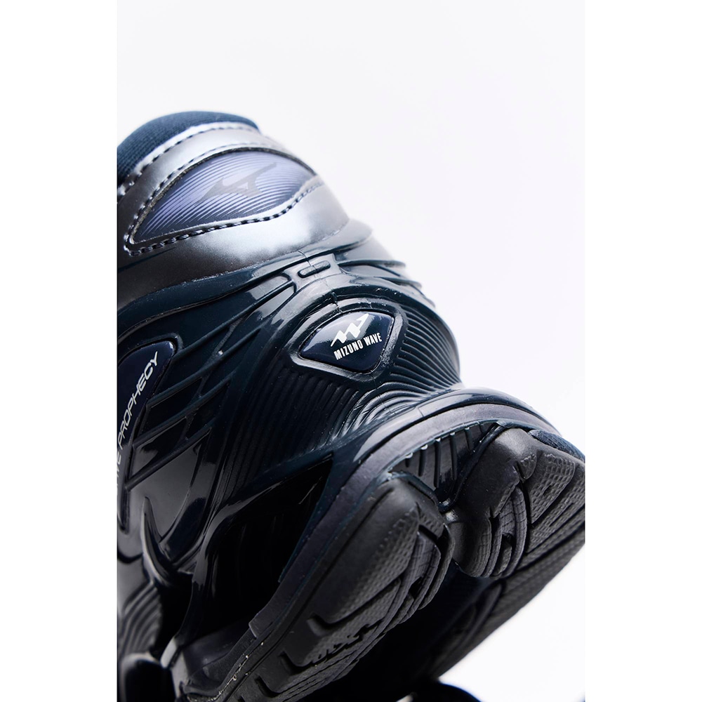 [Copy]WAVE PROPHECY LS