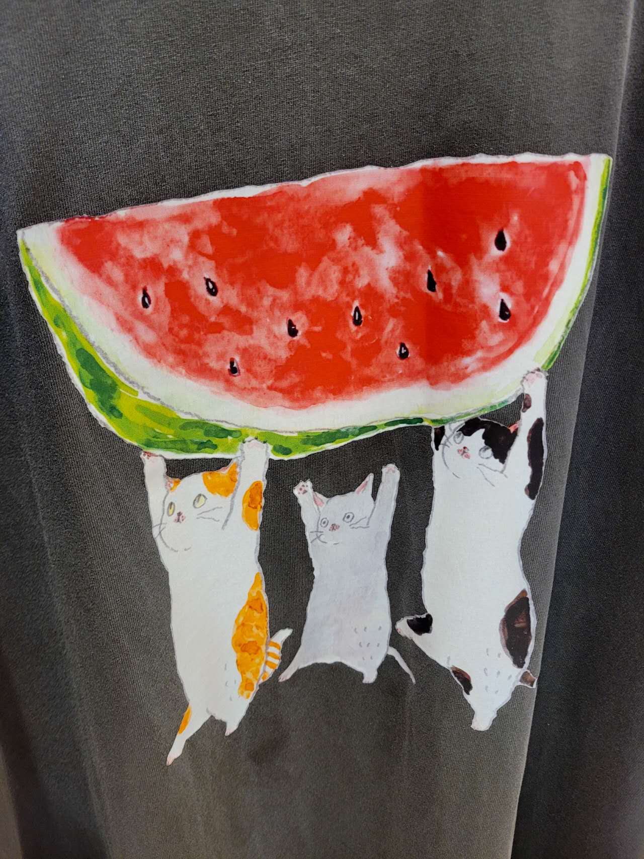 CD25/WATER MELON AND CATS OVERSIZE TEE 