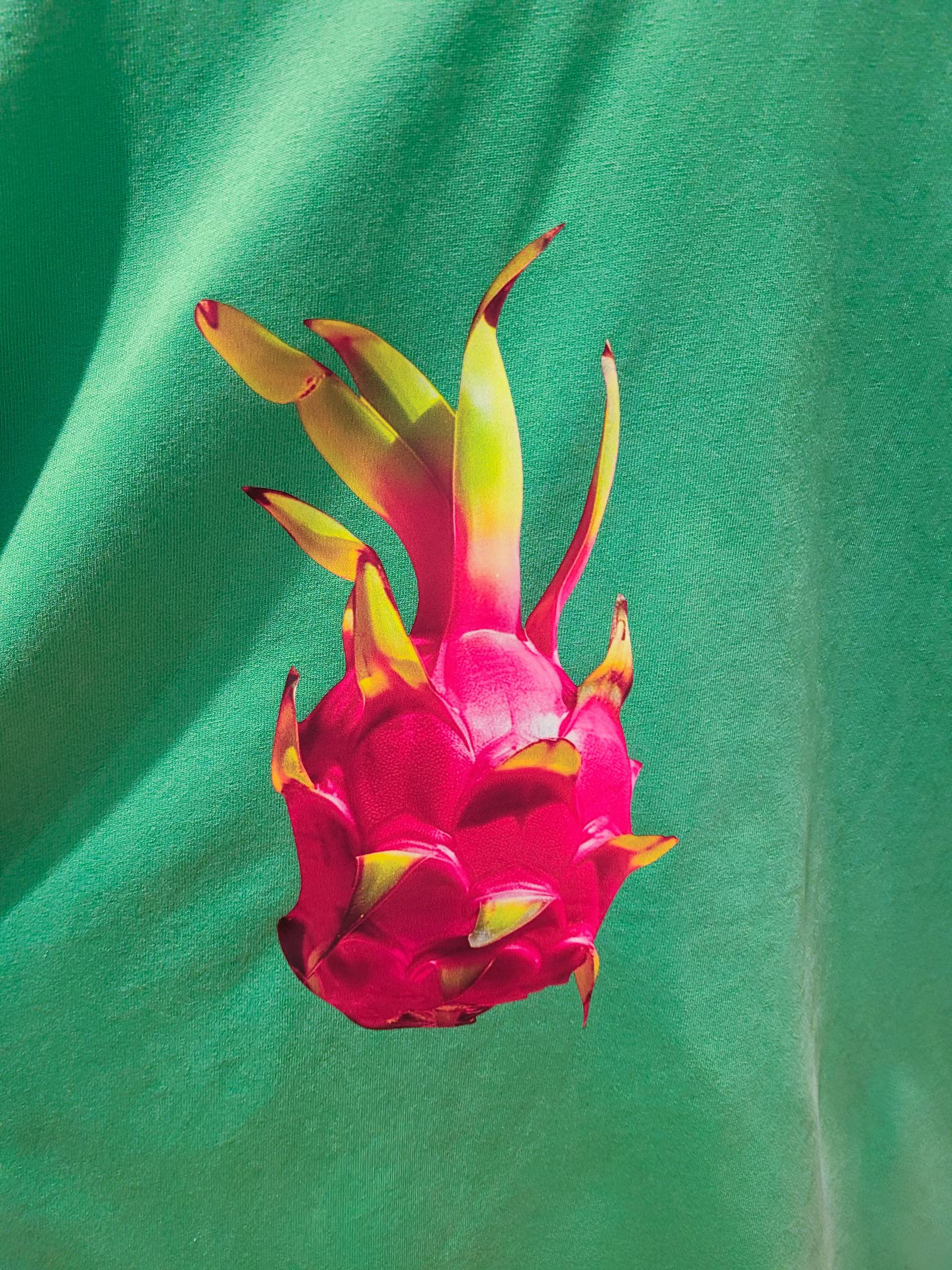 070426/DRAGON FRUIT OVERSIZED TEE 