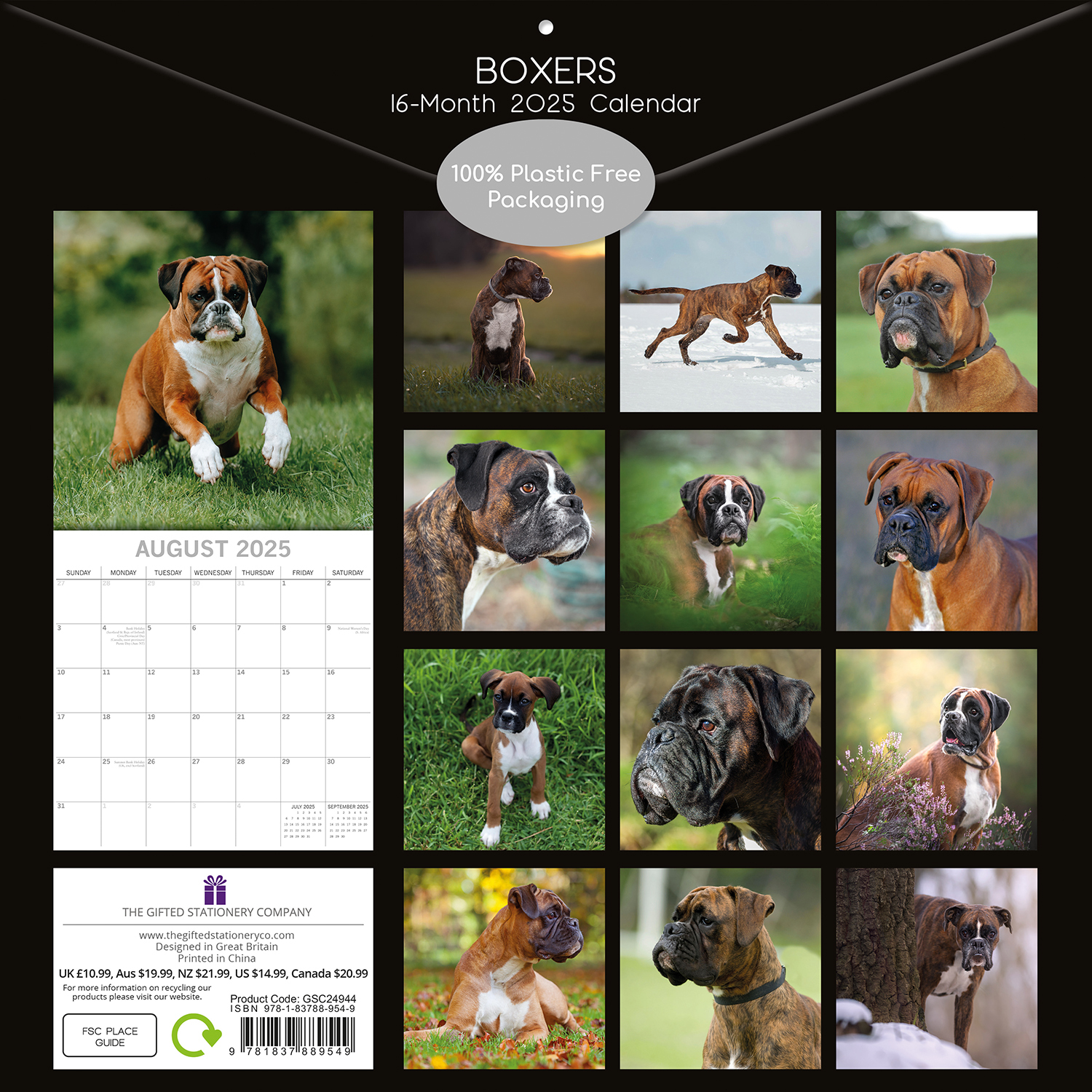 Boxers - 2025 Square Wall Calendar Dogs Pets Animals 16 Months Premium