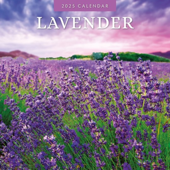 Lavender 2025 Square Wall Calendar Floral 16 Months Premium New Year