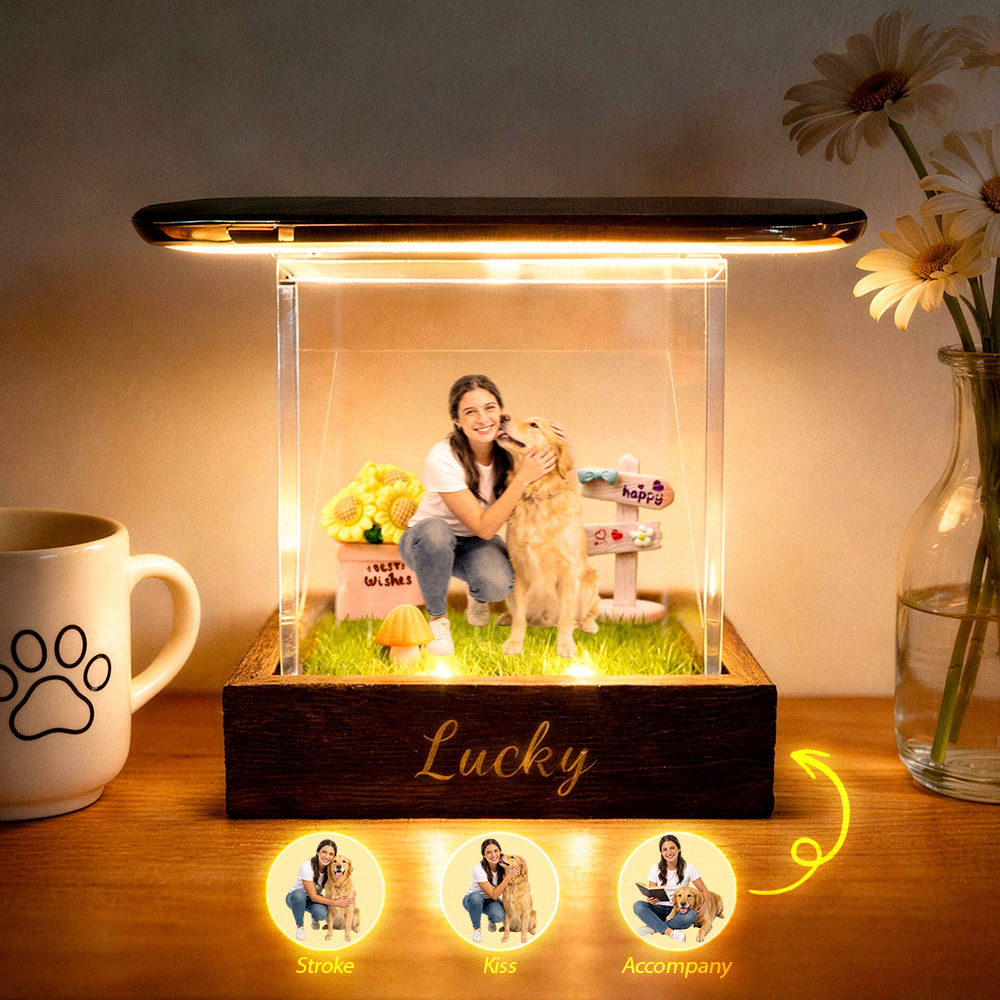 Personalized Pet Hologram Box Custom 3D Illusion Lumina Boxes Pet & Pet Owners Memorial Keepsake Gift