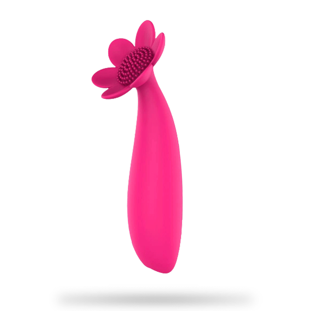 19 Vibration Flower Red Vibrator Waterproof Rechargeable Sex Toy