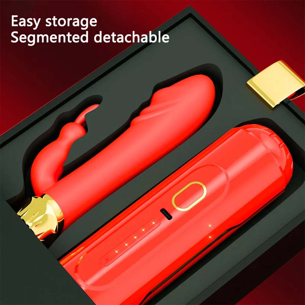 10 Frequency Automatic Pushing Back and Forth Dildo G-spot Vibrator