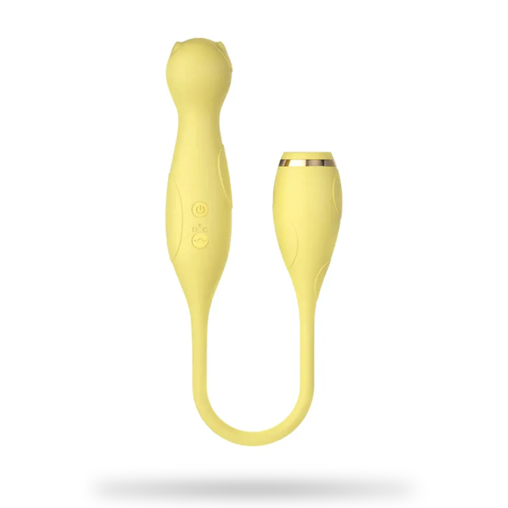 Double Head Vibration AV Vibrator