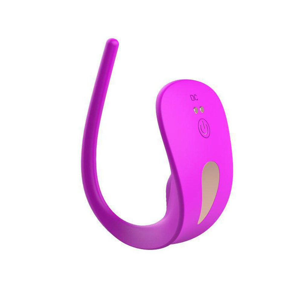 Remote Control Wireless Remote Control Wearable Vibrating Egg For Women
