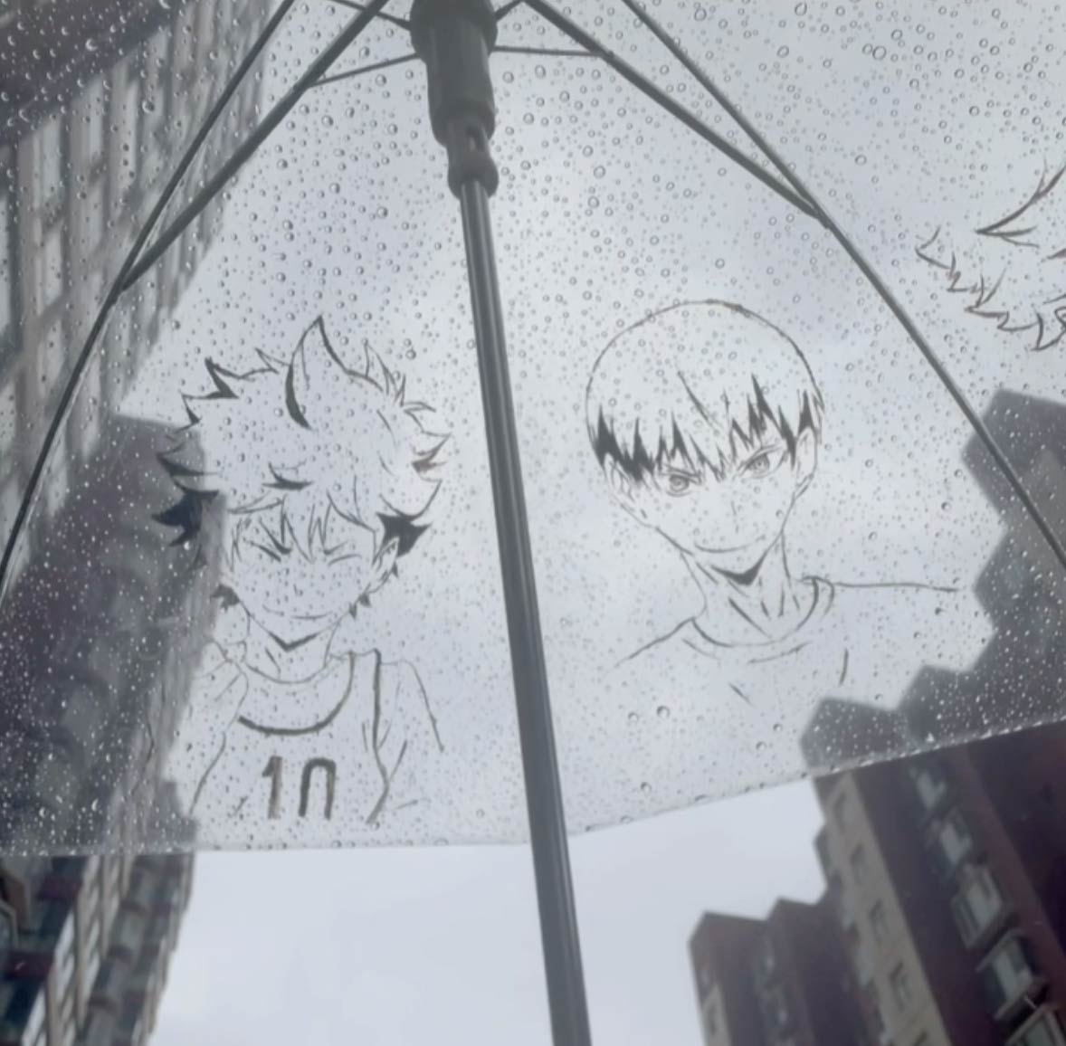 透明傘 【 ハイキュー】