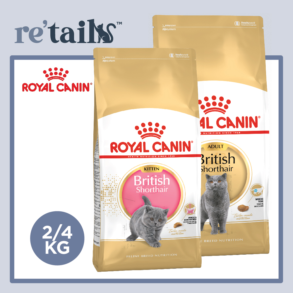 Royal Canin British Shorthair
