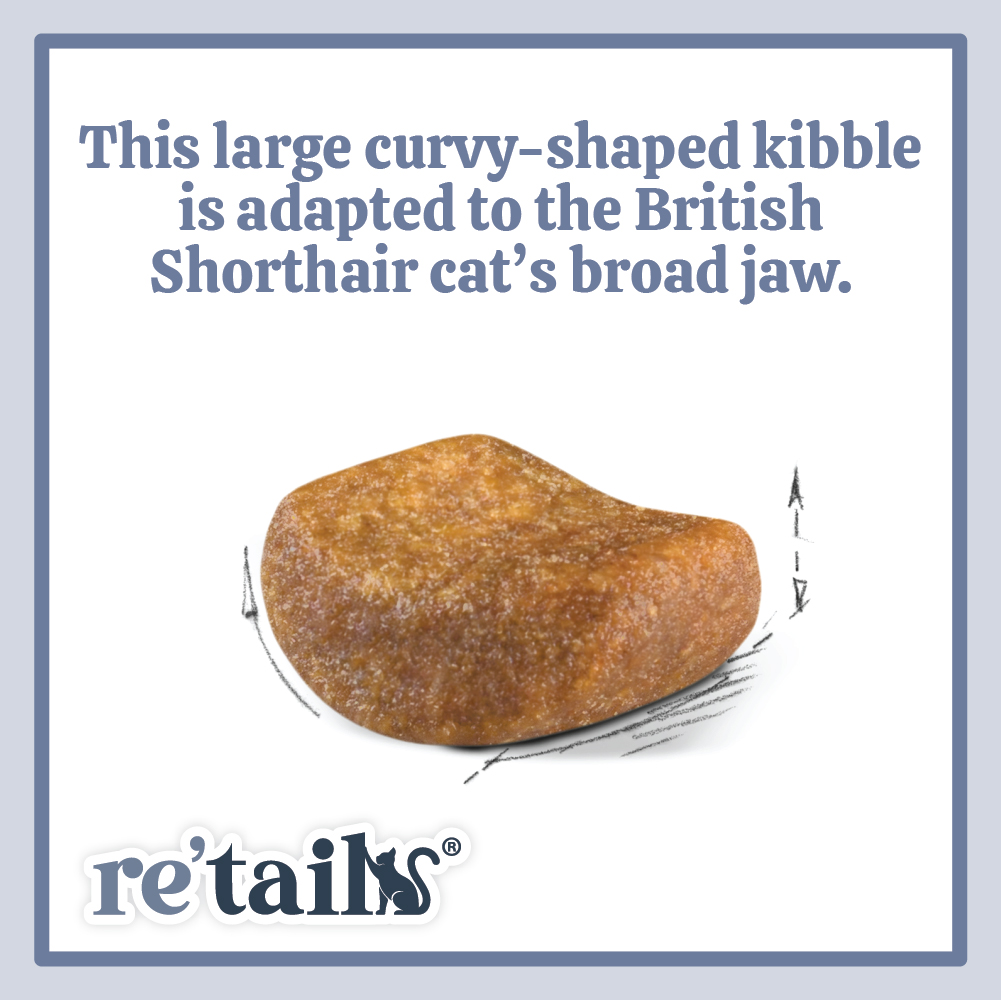 Royal Canin British Shorthair (2kg/4kg)