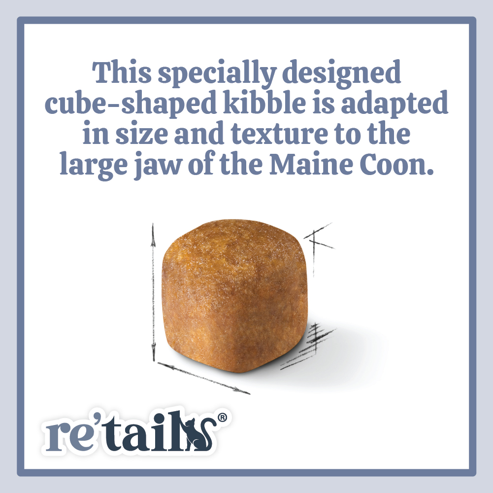 Royal Canin Maine Coon (2kg/4kg)