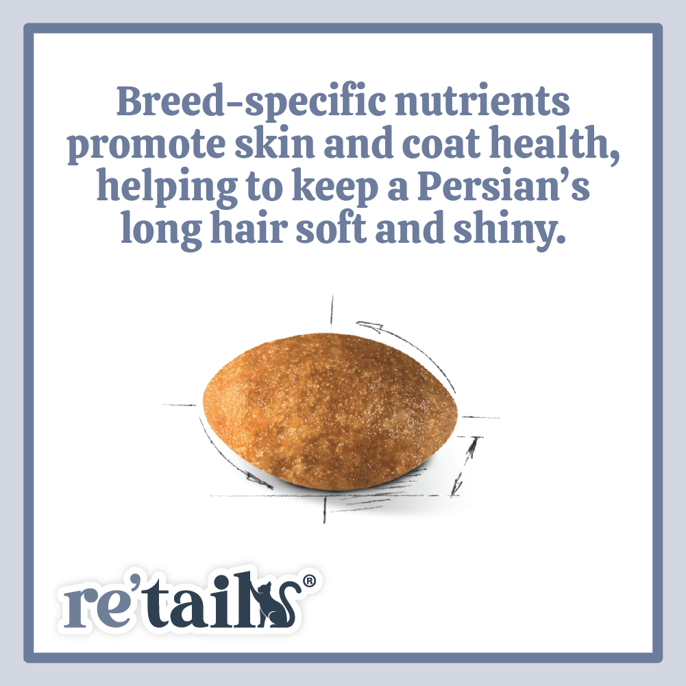 Royal Canin Persian (2kg/4kg)