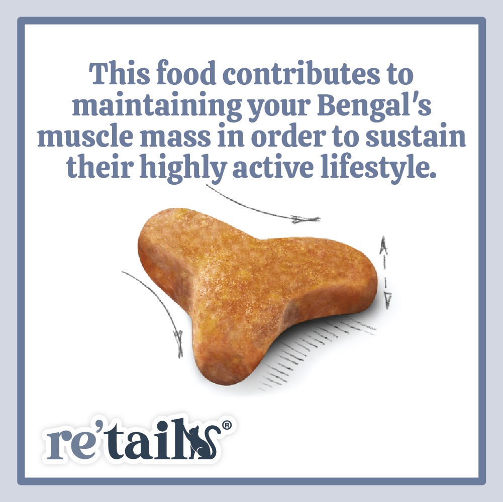 Royal Canin Bengal (2kg)