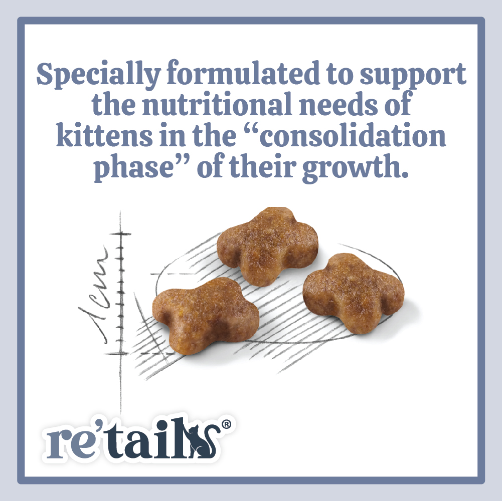 Royal Canin Kitten (2kg/4kg)