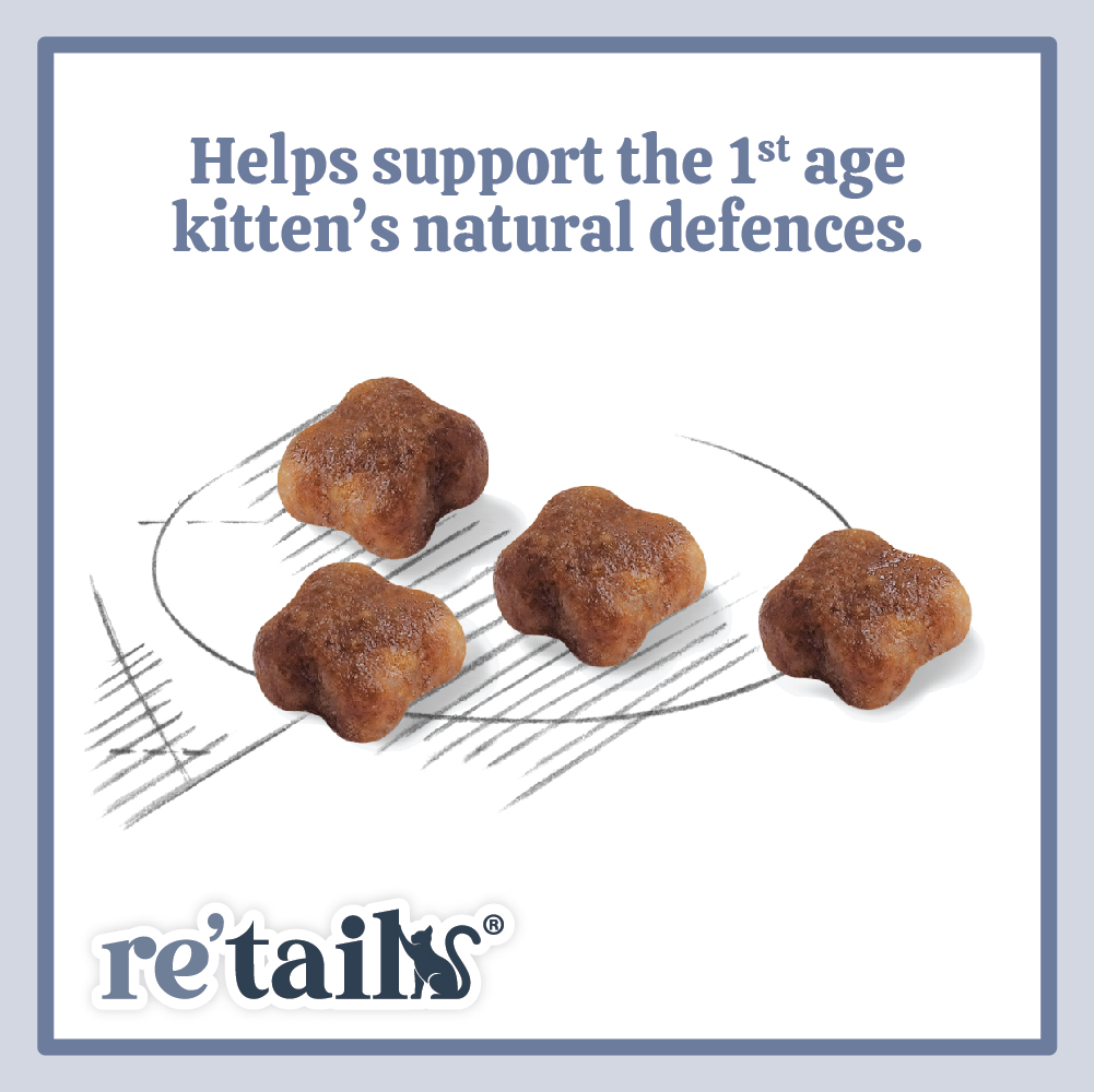 Royal Canin Mother & Babycat (2kg/4kg)