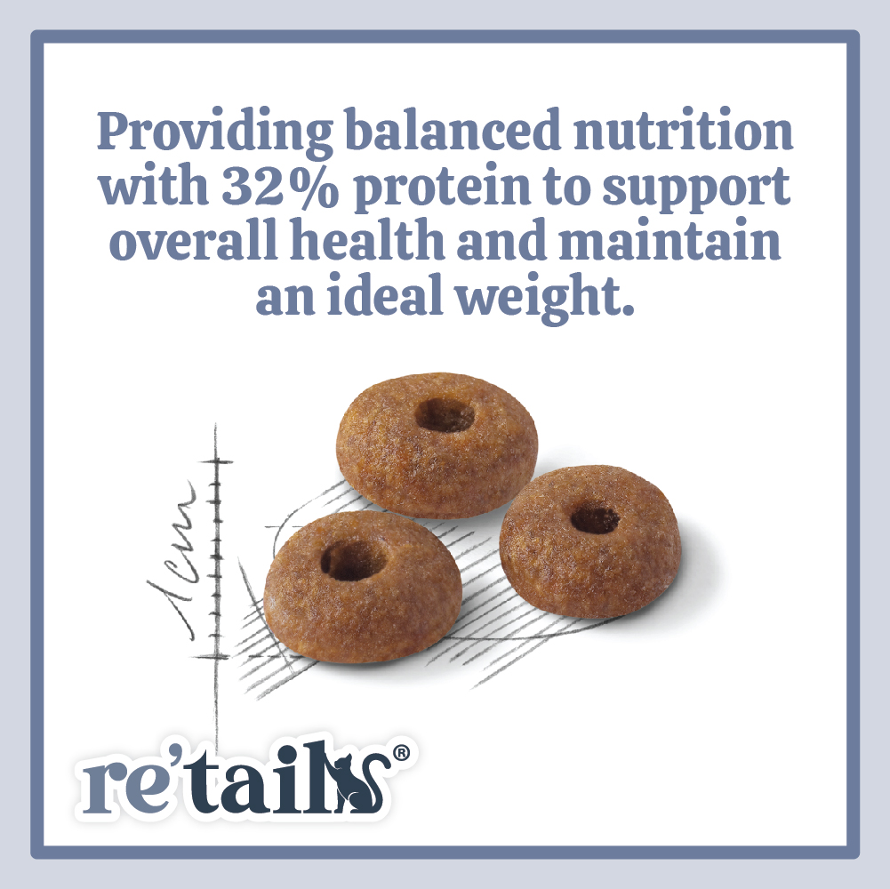 Royal Canin Fit 32 (2kg/4kg)