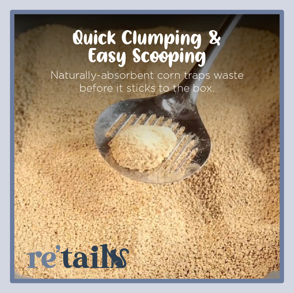 World's Best Cat Litter